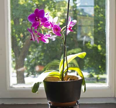 Harmonisk miljö, känn dig som hemma