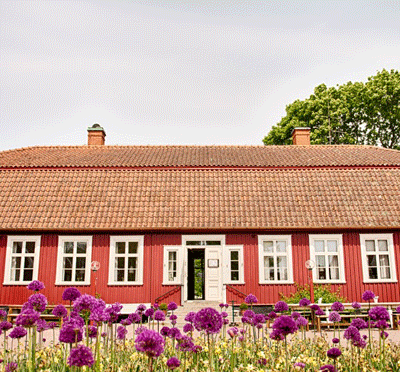 fisk spa göteborg massage landskrona fisk spa göteborg massage landskrona