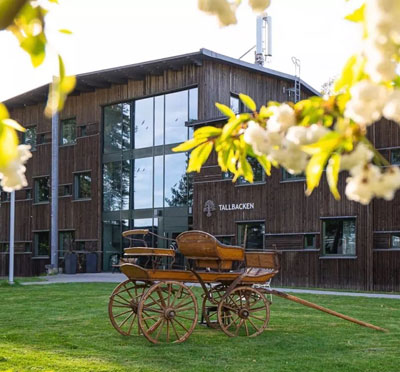 Tallbacken på Sånga