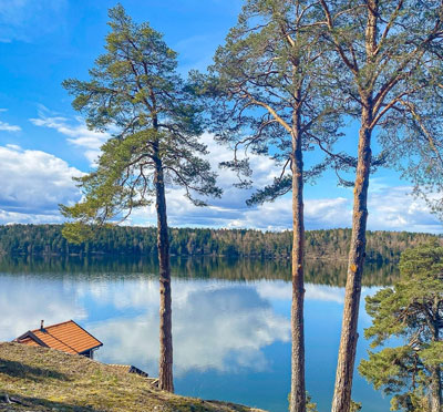 Sångas underbara utsikt