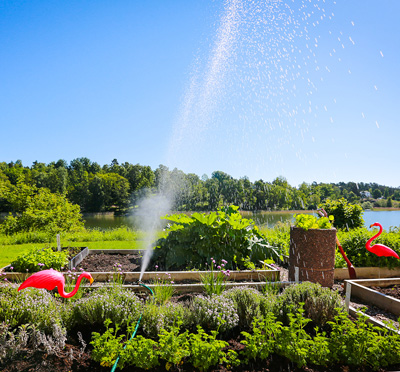 Happy Tammsvik - Grönsakslandet