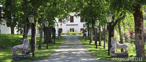 Konferensanläggningar Södra Stockholm - Häringe Slott